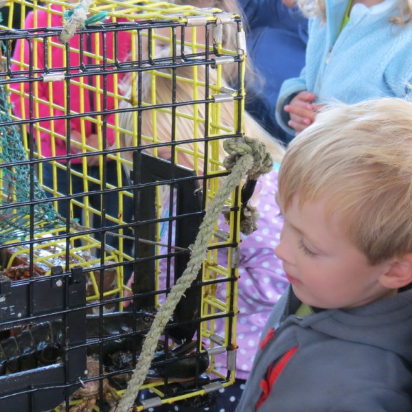 a person holding a baby in a cage