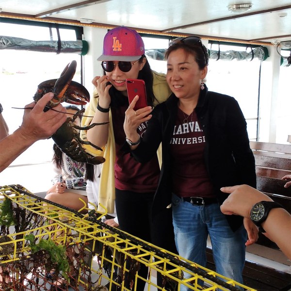 a man and a woman standing next to a fence