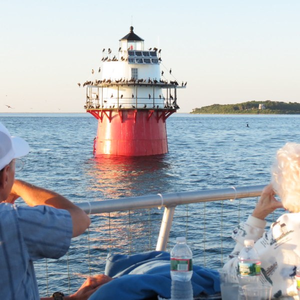 a person sitting on a dock next to a body of water