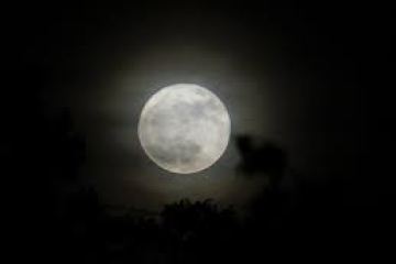 Full moon in a dark sky with subtle clouds and silhouettes of tree branches.