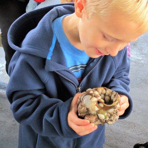 a little boy that is eating some food