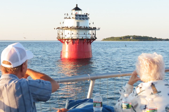 a person sitting on a dock next to a body of water