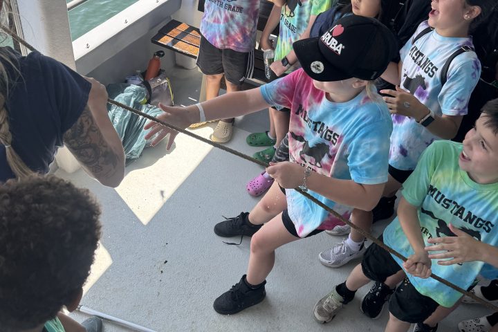 Children in colorful shirts excitedly observe a small creature on a boat.