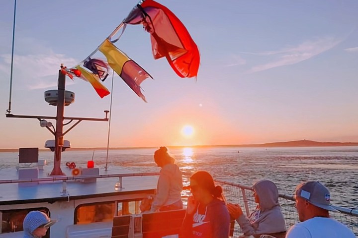 a group of people flying kites on a beach