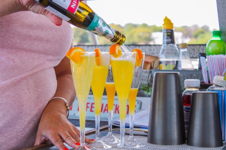 a person holding a bottle of wine