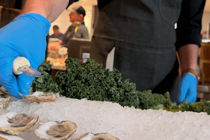 Person in apron shucking oysters on ice with blue gloves.