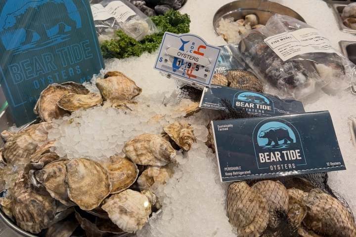 Fresh oysters on ice at a market, with Bear Tide Oysters sign and price tags visible.